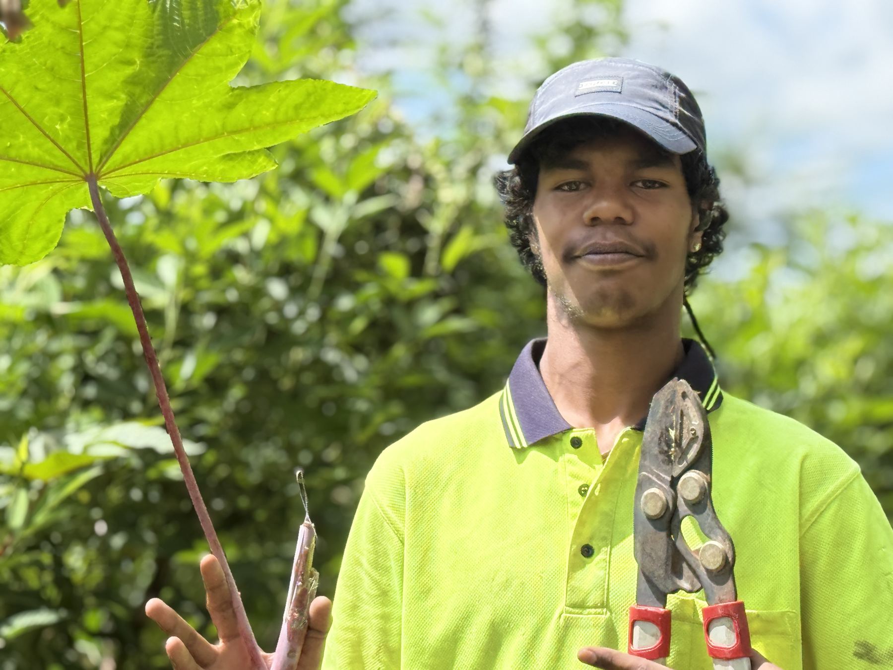 A young farm worker in hi-vis holding pruning shears under a broad green leaf